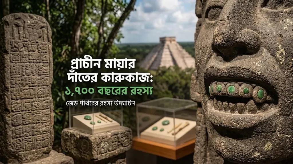 ১,৭০০ বছর আগের 'জেড দাঁত': প্রাচীন মায়ার বিস্ময়কর কসমেটিক ডেন্টিস্ট্রি