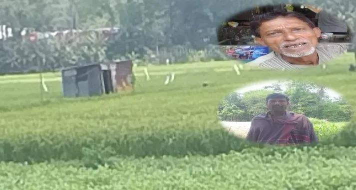 মাঠে নেই পানি, পাম্পে নেই তেল, দোহারে কৃষকের কপালে চিন্তার ভাঁজ