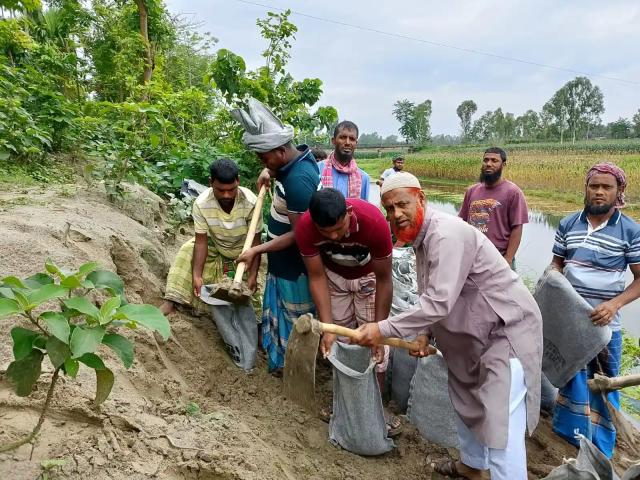 ফুলবাড়ীতে নদী ভাঙন ঠেকাতে বাংলাদেশ জামায়াতে ইসলামীর জরুরি উদ্যোগ