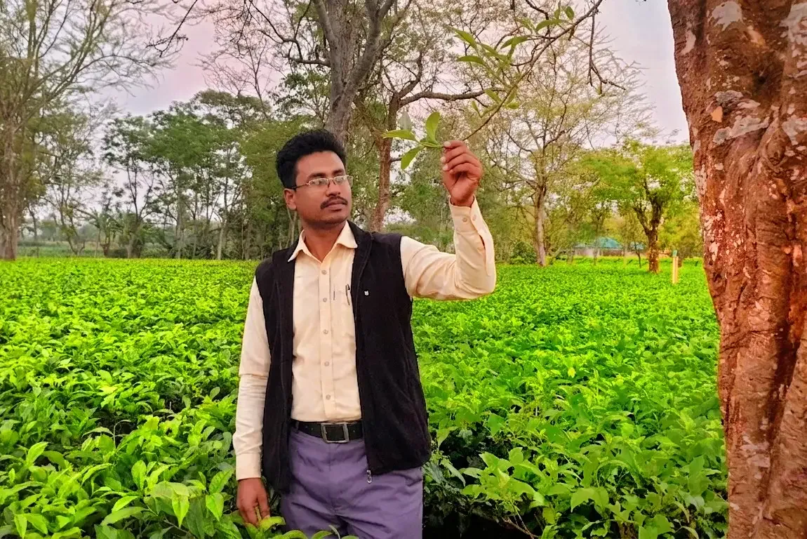 "শেষ বিকেলের আফসোস"