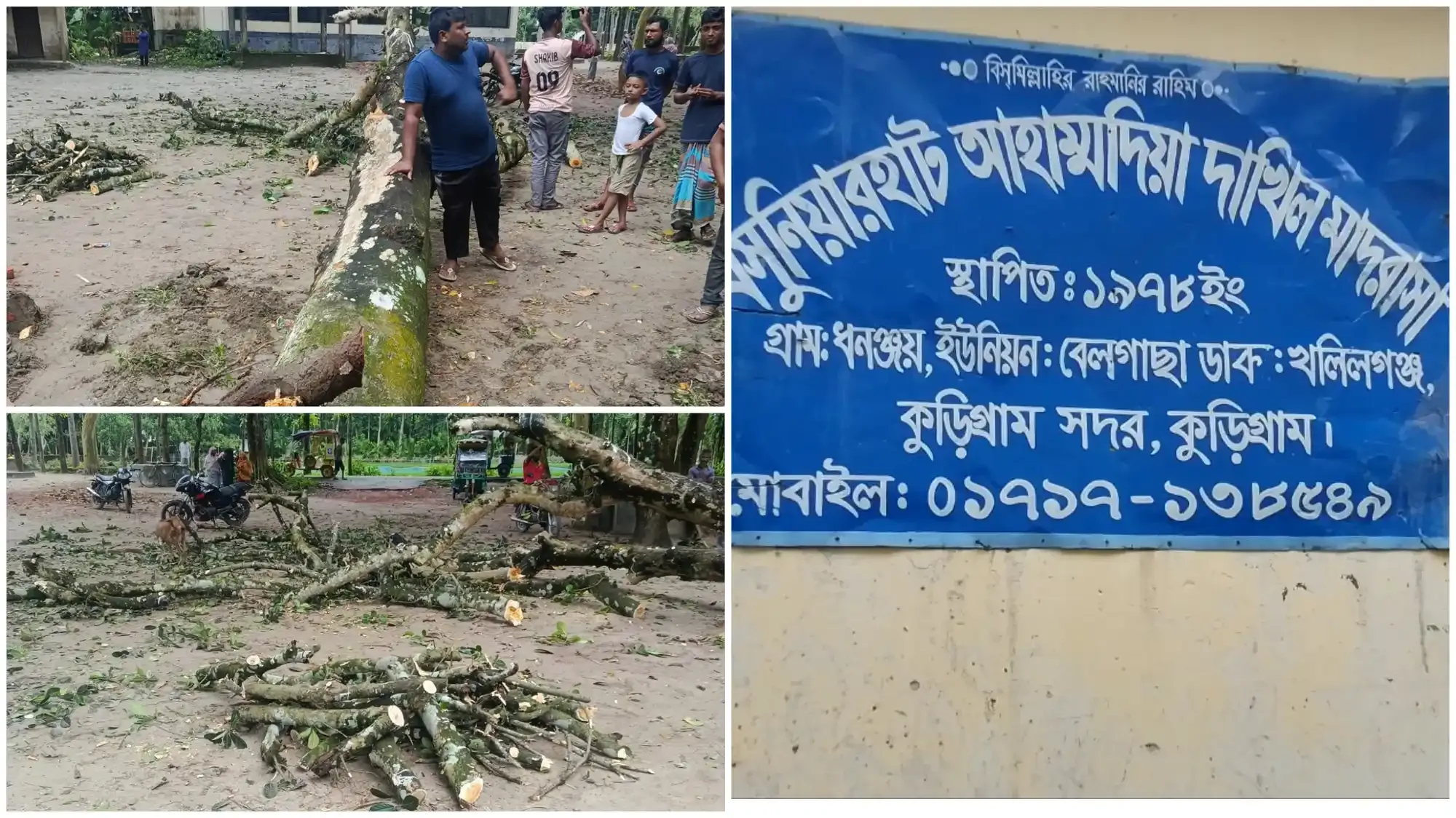 কুড়িগ্রামে এক মাদরাসা সুপারের বিরুদ্ধে কাঁঠাল গাছ কর্তনের অভিযোগ