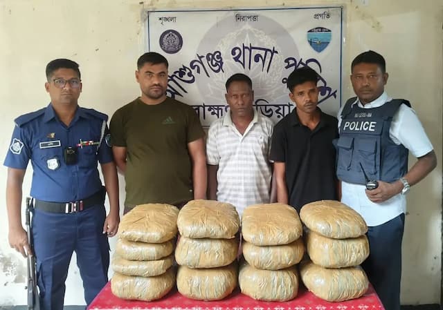 আশুগঞ্জে ২০ কেজি গাঁজাসহ ৩ মাদক কারবারি গ্রেপ্তার, ট্রাক জব্দ
