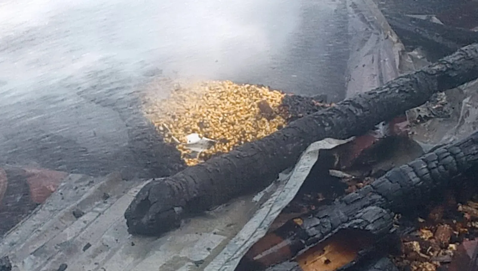 রুহিয়ায় অগ্নিকাণ্ডে নিঃস্ব ৩ পরিবার