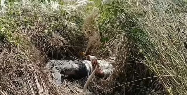 ব্রাহ্মণবাড়িয়ায় অটোরিকশাচালক হত্যাকাণ্ডের শিকার, মুখ ও শরীর কসটেপ মোড়ানো মরদেহ উদ্ধার