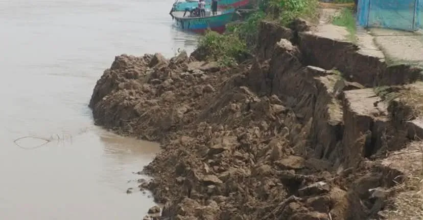 পদ্মার ভাঙনে দৌলতপুরে নদীতীরের জনপদে আতঙ্ক।